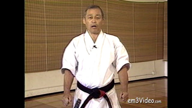 Gosoku Ryu Karate Action Kumite & Free Sparring by Tak Kubota