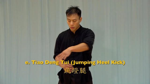 Shaolin Kung Fu Advanced 1.42