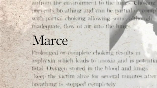 4 Marce Darcepedia English Vol 1