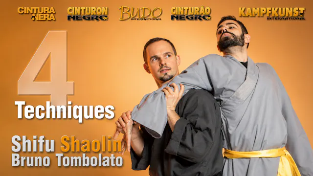 Shaolin Kung Fu Four Techniques Bruno Tombolato