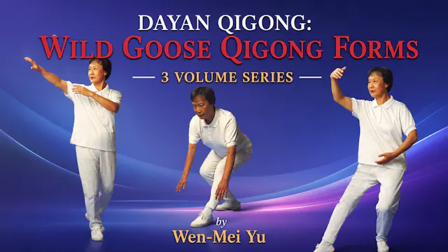 Dayan Qigong: Wild Goose Qigong Forms Series