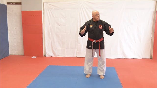 Kyusho-Jitsu & Self Defense Vol 1 VPM-84