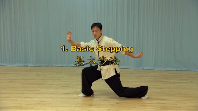 Shaolin Kung Fu Long Fist Int - 2