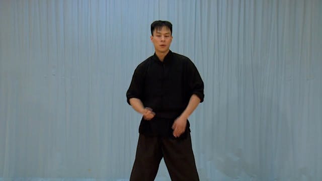 Shaolin Kung Fu Advanced 1.21