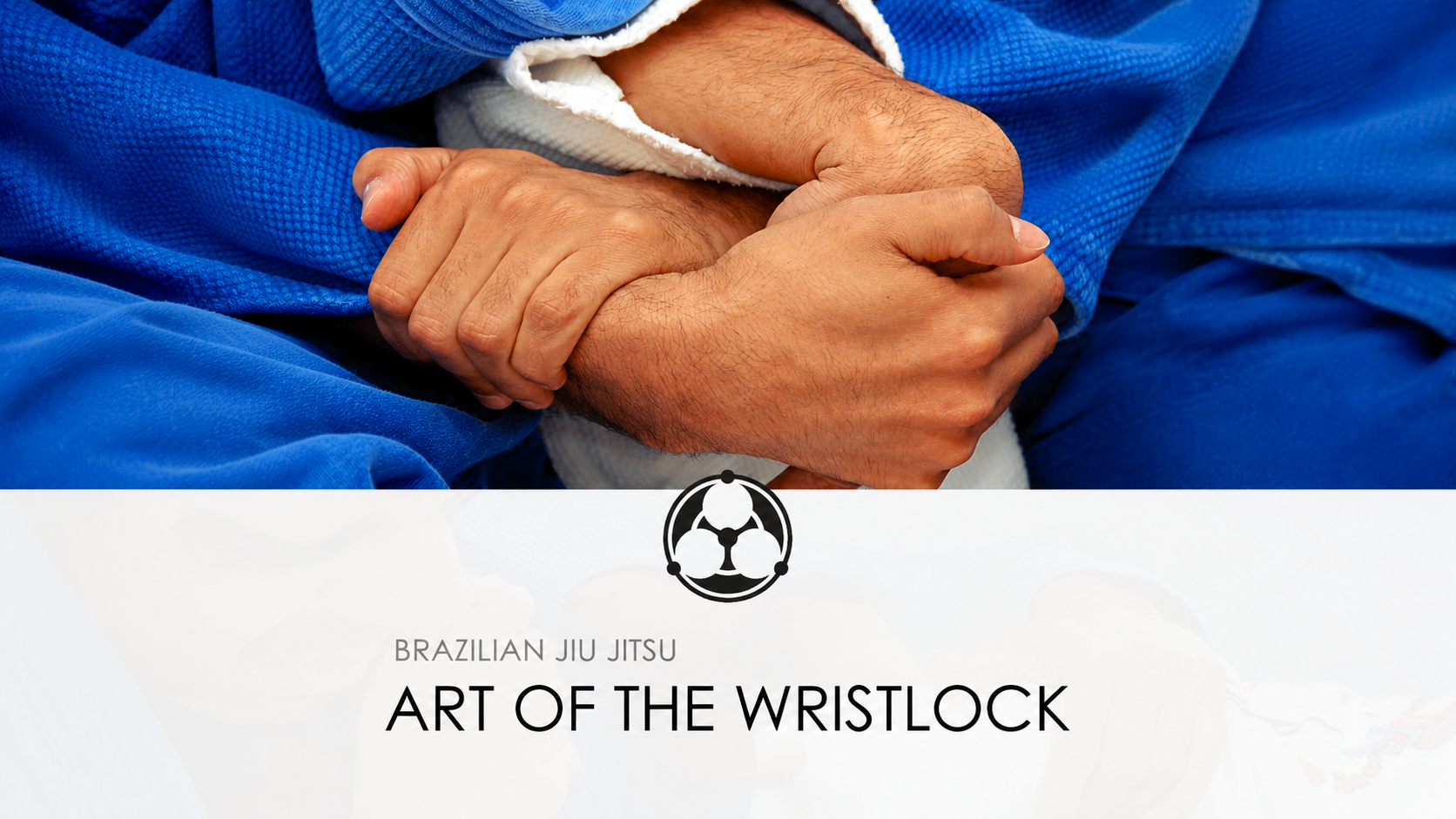 Art of the Wristlock: Aikido & BJJ by Roy Dean