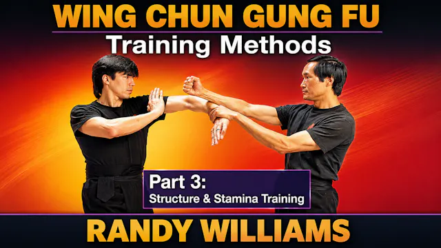 Wing Chun Training Methods 3 by Randy Williams