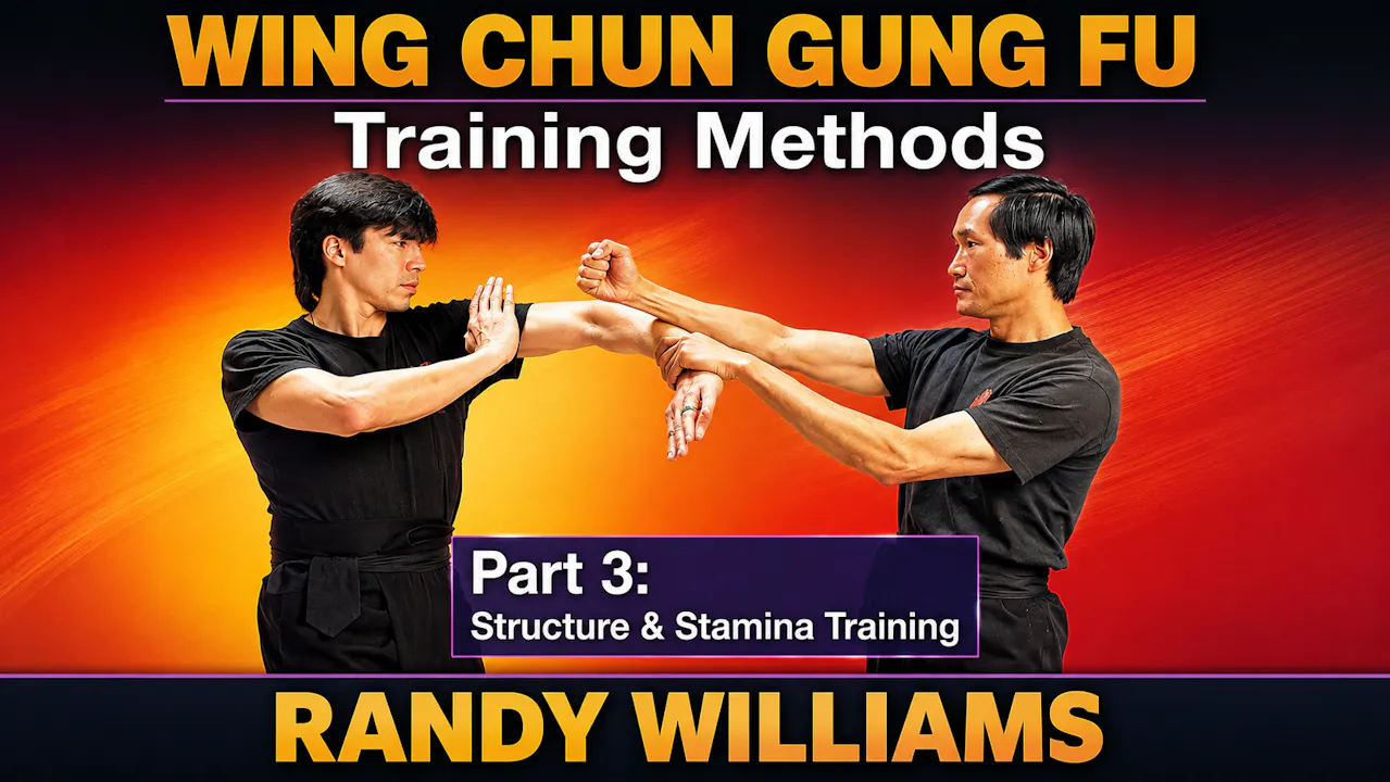 Wing Chun Training Methods 3 by Randy Williams