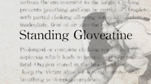 6 Standing Glovetine Darcepedia Japan...