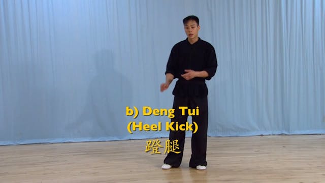 Shaolin Kung Fu Advanced 2 - 12