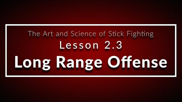 Art of Stick Fighting 2.3