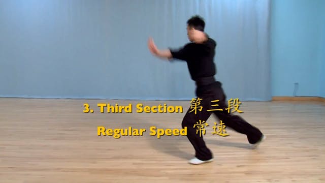 Shaolin Kung Fu Advanced 2 - 77