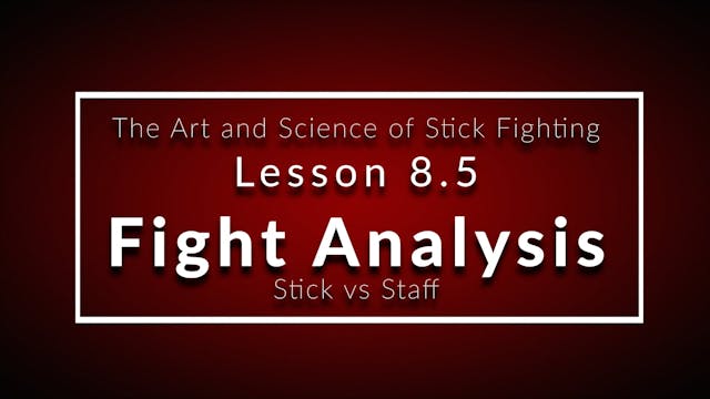 Art of Stick Fighting 8.5