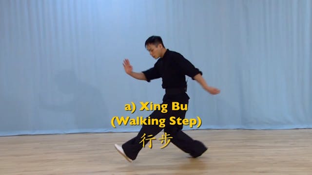 Shaolin Kung Fu Advanced 2 - 46