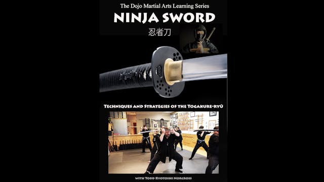 Ninja Sword by Todd Norcross