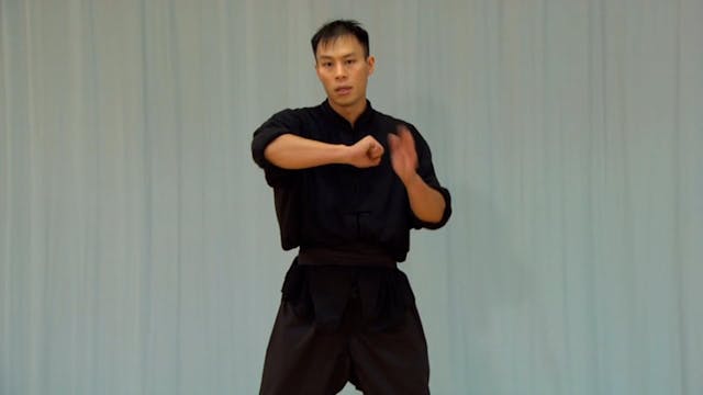 Shaolin Kung Fu Advanced 1.52