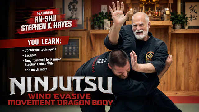 Ninjutsu Secrets 8 Wind Movement Stephen Hayes