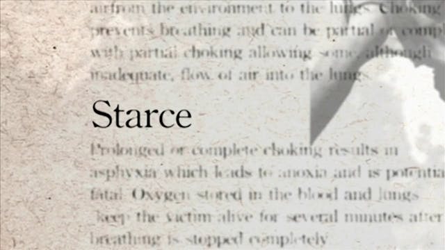18 Starce Darcepedia English Vol 1 Vol 1