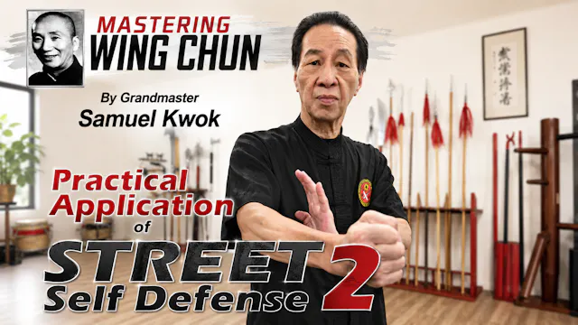 Wing Chun Street Self Defense 2 Samuel Kwok