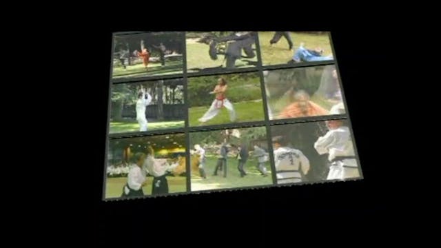 Self Defense with Everyday Objects by Jose Montes