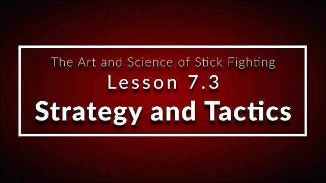 Art of Stick Fighting 7.3
