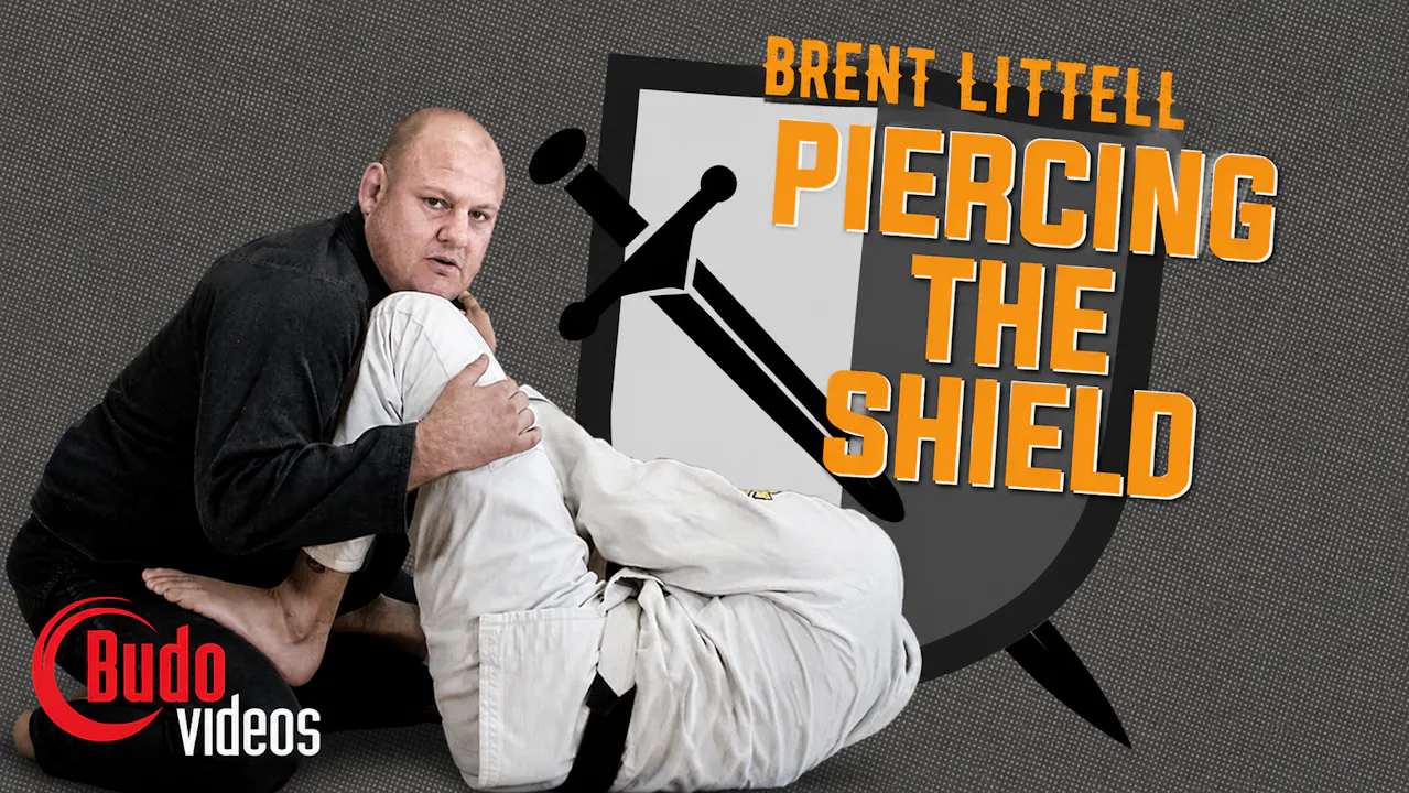Piercing the Shield by Brent Littell