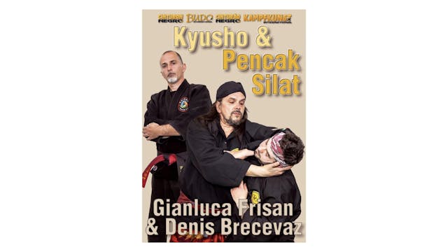 Kyusho & Pencak Silat 3 Gianluca Frisan