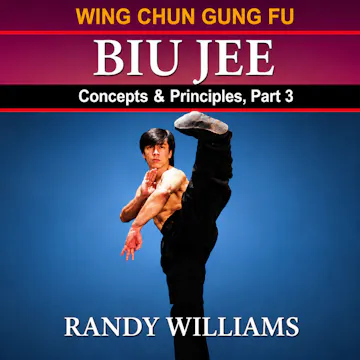 Wing Chun Biu Jee Concepts 3 by Randy Williams