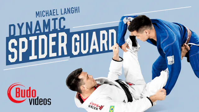 Dynamic Spider Guard with Michael Langhi