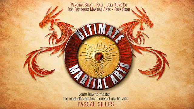 Ultimate Martial Arts Self Defense Pascal Gilles