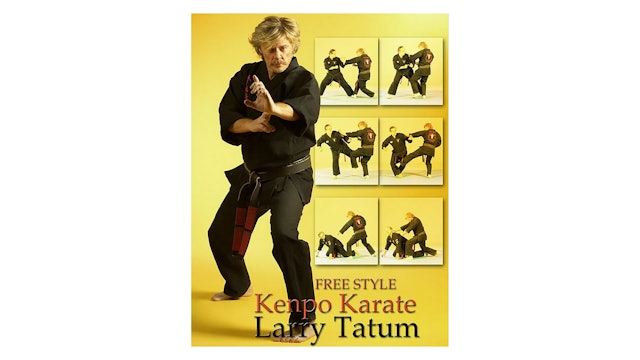 Free Style Kenpo by Larry Tatum