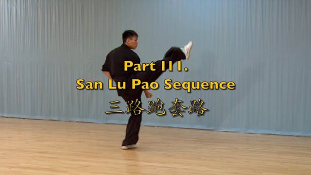 Shaolin Kung Fu Advanced 1.24