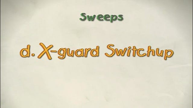 Vol 3 d. X Guard Switch Up