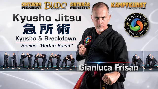 Kyusho Breakdown by Gianluca Frisan