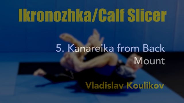 5. VLAD Calf Slicer - Kanareika from back to mount