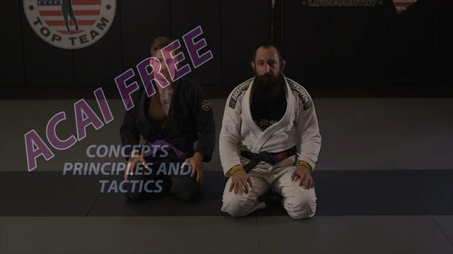 ACAI 25 Oversweeping Butterfly Concept