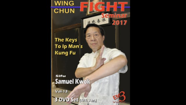 Wing Chun Fight Seminar 2017 with Samuel Kwok