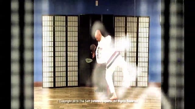 Kyusho Tang Soo Do Connection 1. Pyung Ahn Pinan Kata 1 by Mark Kline