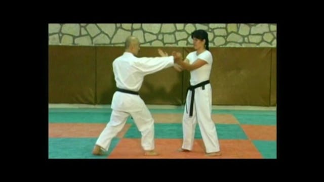 Uechi-Ryu Karate-Do from Okinawa Vol 1 DVD79