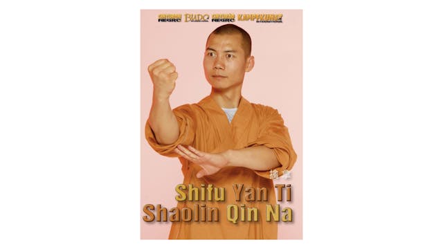 Shaolin Qin Na with Shi Yan Ti