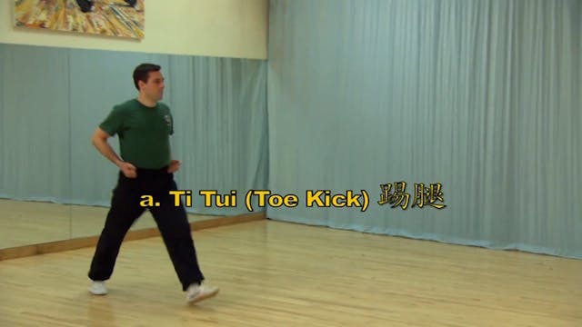 Shaolin Kung Fu Long Fist Int - 31
