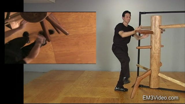 Mastering Wing Chun: Keys to Ip Man's Kung Fu Vol 5 with Samuel Kwok