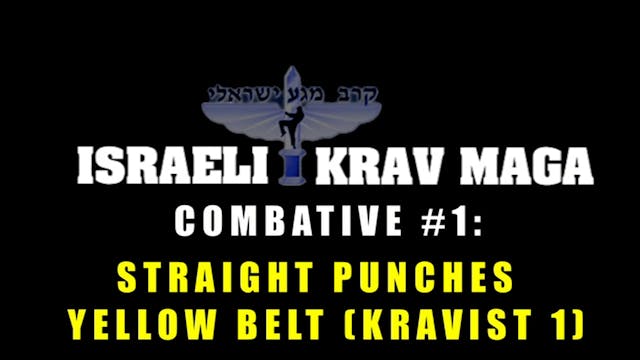 Krav Maga Combatives 1.4