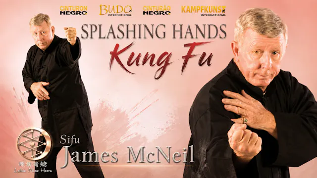 Kung Fu Splashing Hands by James McNeil