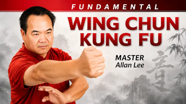 Fundamental Wing Chun Kung Fu by Allan Lee