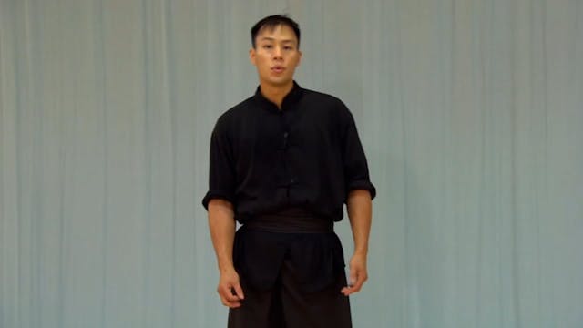 Shaolin Kung Fu Advanced 1.36