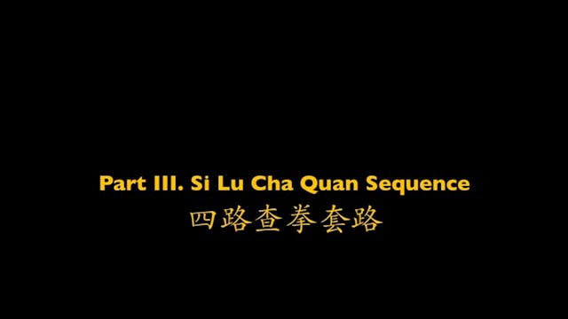 Shaolin Kung Fu Advanced 2 - 74