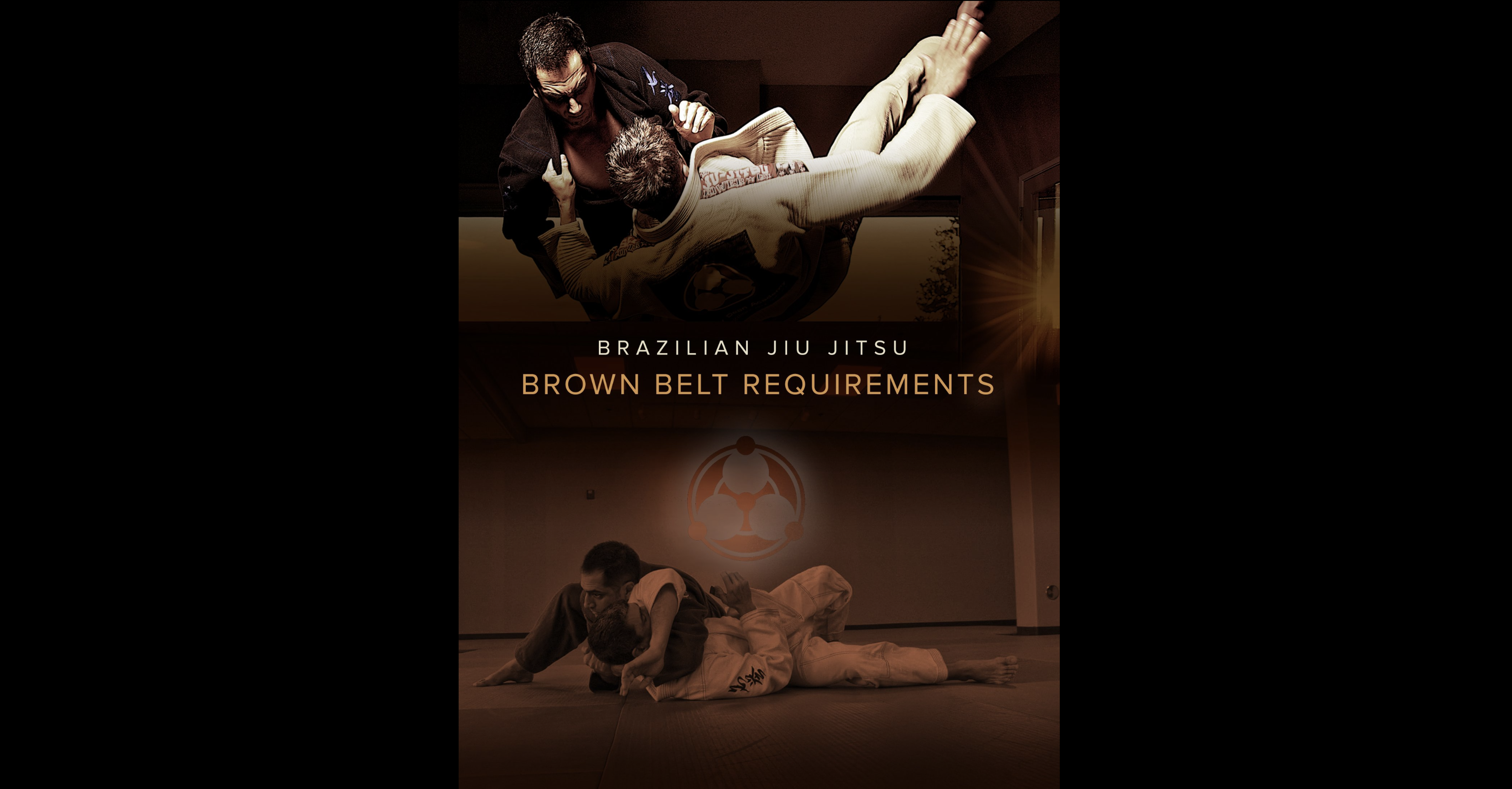 Brown Belt Requirements by Roy Dean