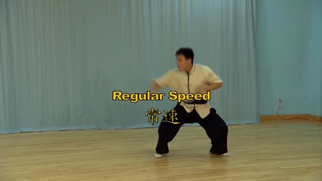 Shaolin Kung Fu Long Fist Int - 81