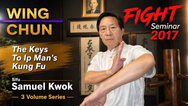 Wing Chun Fight Seminar 2017 with Samuel Kwok