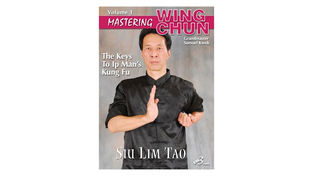 Mastering Wing Chun Keys to Ip Man's Kung Fu Vol 1